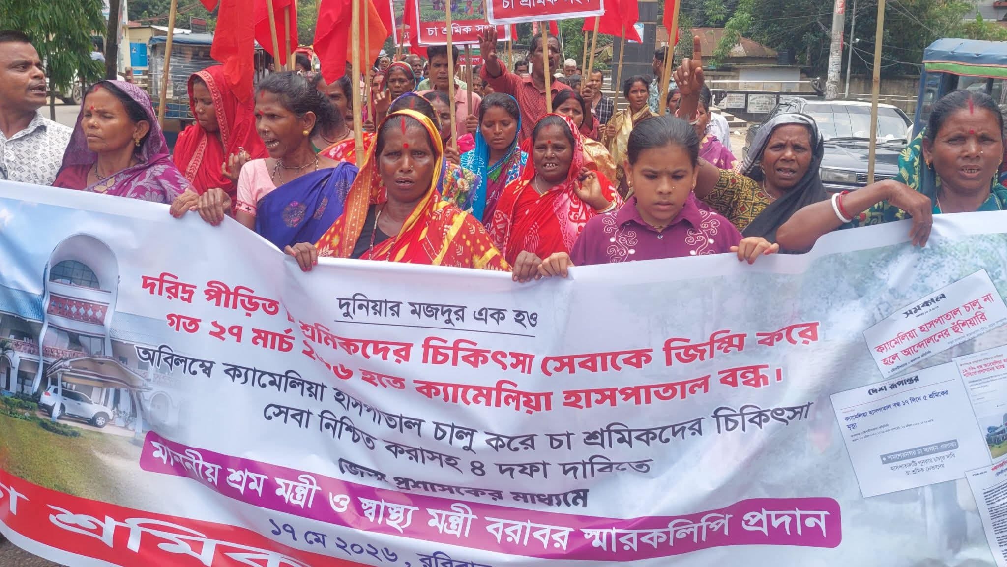 মৌলভীবাজারে  চার দফা দাবীতে চা শ্রমিকদের  বিক্ষোভ মিছিল 