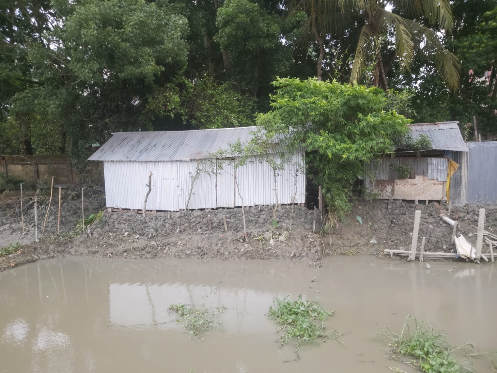 খাল খনন শেষ হতেই আমতলীতে রেকর্ডকৃত জমি দখলের অভিযোগ ভূমিদস্যু কালামের বিরুদ্ধে