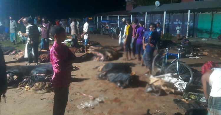 মৌলভীবাজার সারাদিন অপেক্ষার পর মাটিচাপা দেওয়া হলো চামড়া