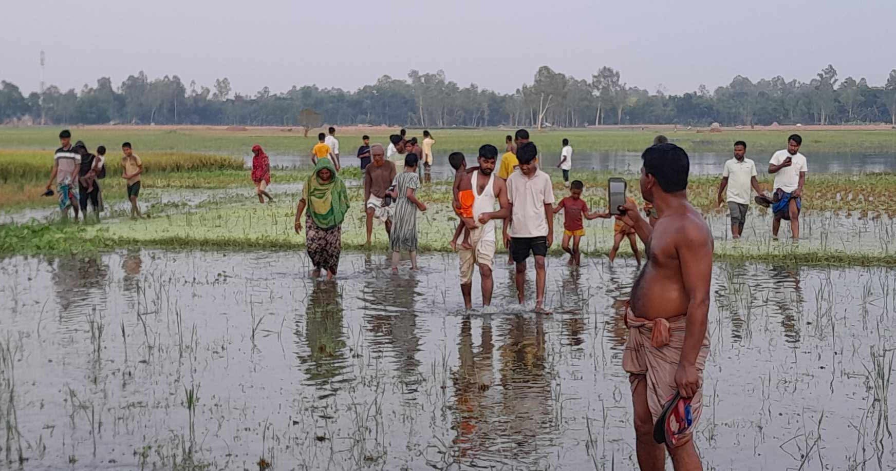 বকশীগঞ্জে বিলের পানিতে ভেসে থাকা অজ্ঞাত নারীর মরদেহ উদ্ধার