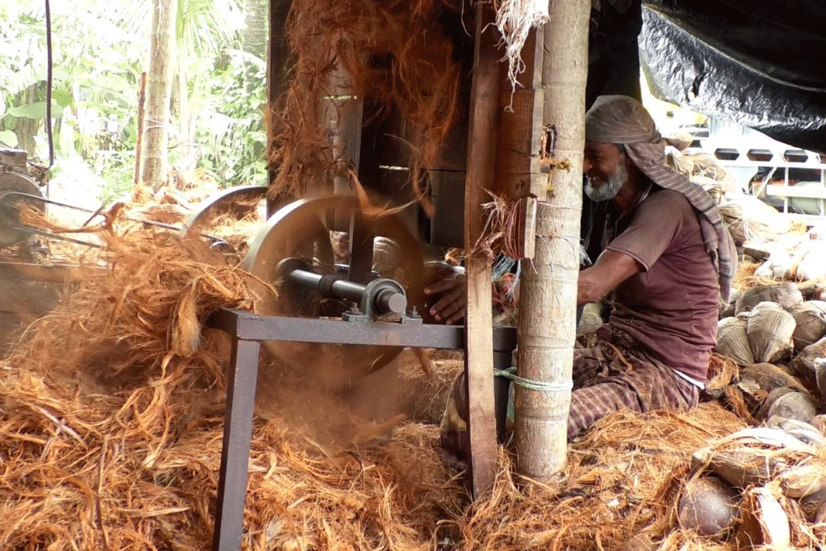 লক্ষ্মীপুরে নারকেলের ছোবড়ায় কোটি টাকার বাণিজ্য
