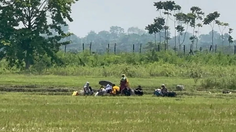 বেনাপোল সীমান্তে বিএসএফের পুশইন চেষ্টা, রুখে দিলো বিজিবি