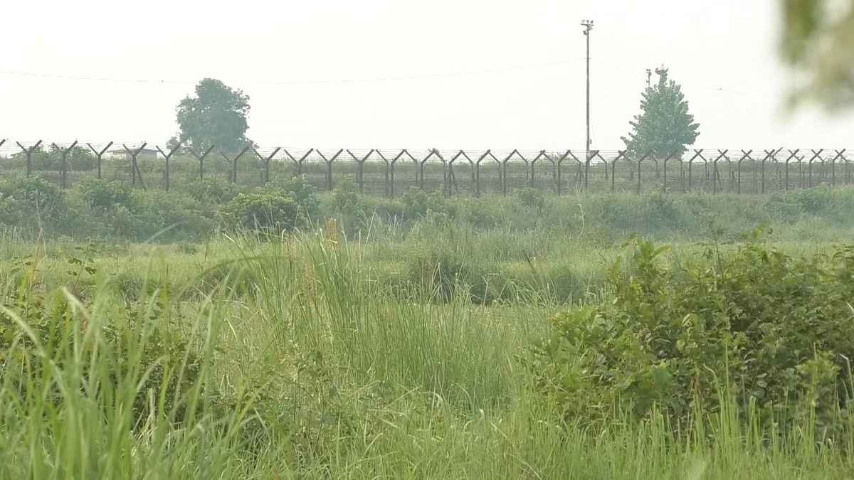 শেরপুর সীমান্তে ভারতে অনুপ্রবেশের চেষ্টা, ৯ বাংলাদেশি আটক