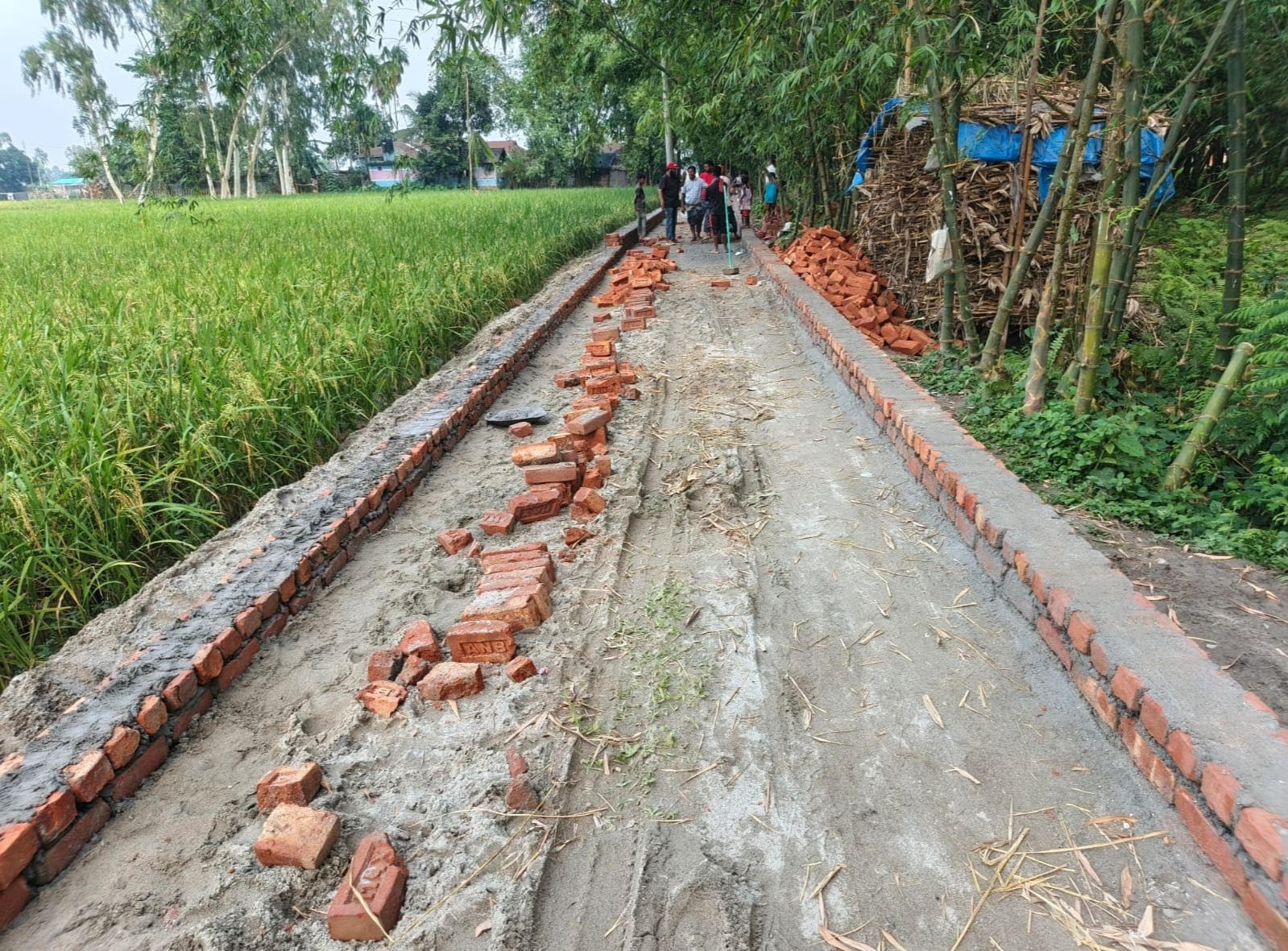 ইউনিয়ন পরিষদ উন্নয়ন সহয়তা প্রকল্পের রাস্তা নির্মাণে অনিয়মের অভিযোগ