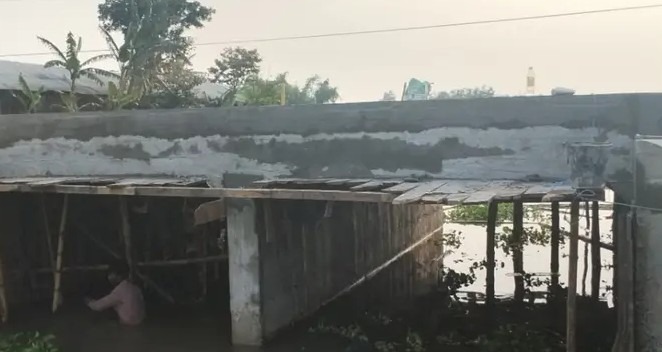 হাতীবান্ধায় ১৩ কোটি টাকার সড়ক সংস্কার প্রকল্পে অনিয়মের অভিযোগ.
