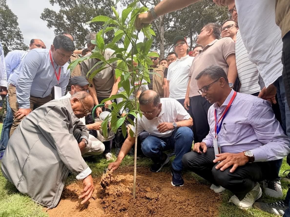 কক্সবাজারে চারা রোপণ করে ২৫ কোটি বৃক্ষরোপণ কর্মসূচির উদ্বোধন প্রধানমন্ত্রীর