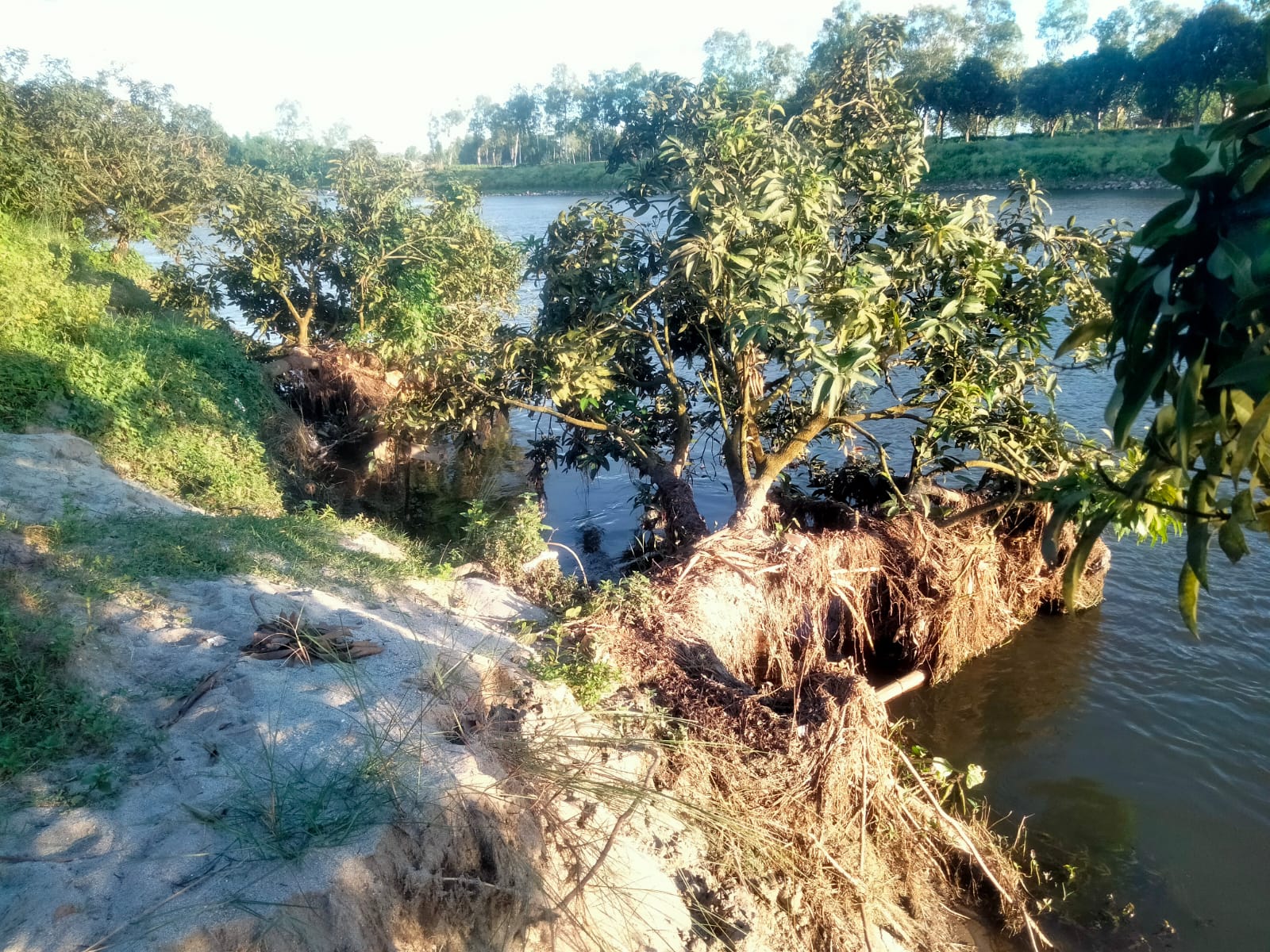 ঘর হারানোর আতঙ্কে নির্ঘুম রাত কাটছে বুড়িমারী স্থলবন্দর এলাকার ধরলা পাড়ের মানুষ