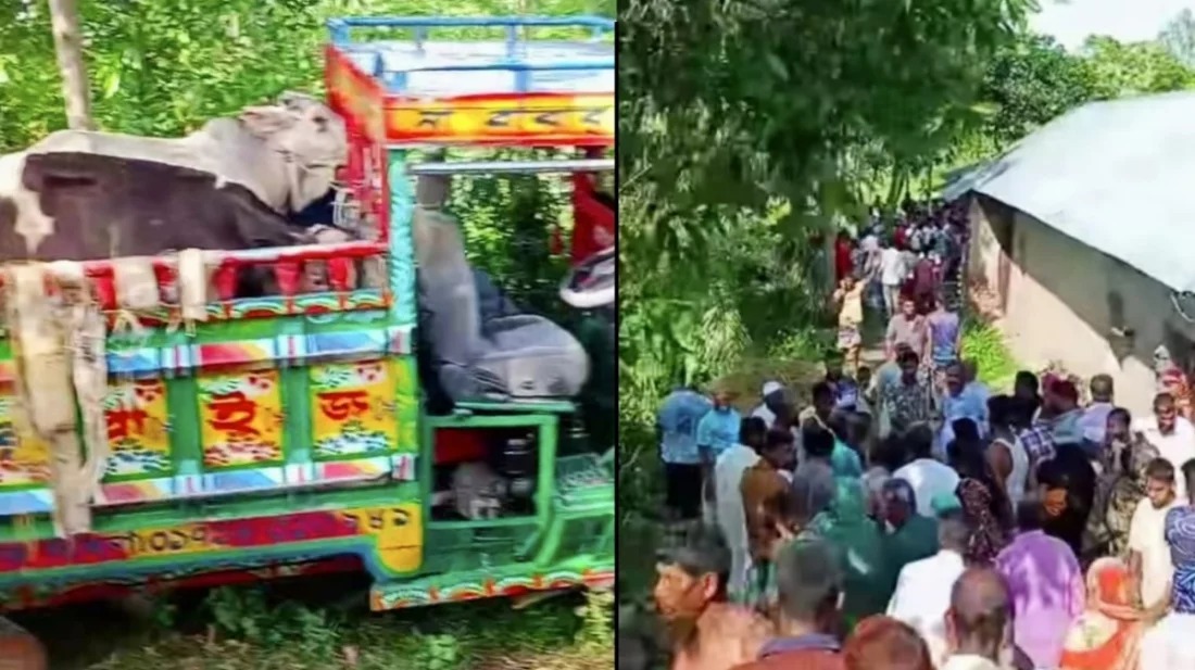 বগুড়ায় সড়ক দুর্ঘটনায় নিহত ২, আহত ৪