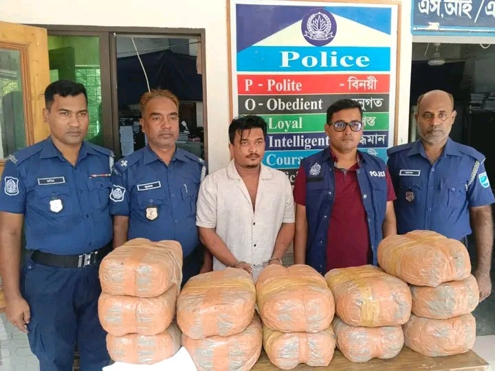 কুলিয়ারচর থানা পুলিশের সফল অভিযান, পিকআপ ভর্তি গাঁজাসহ মাদক ব্যবসায়ী আটক!
