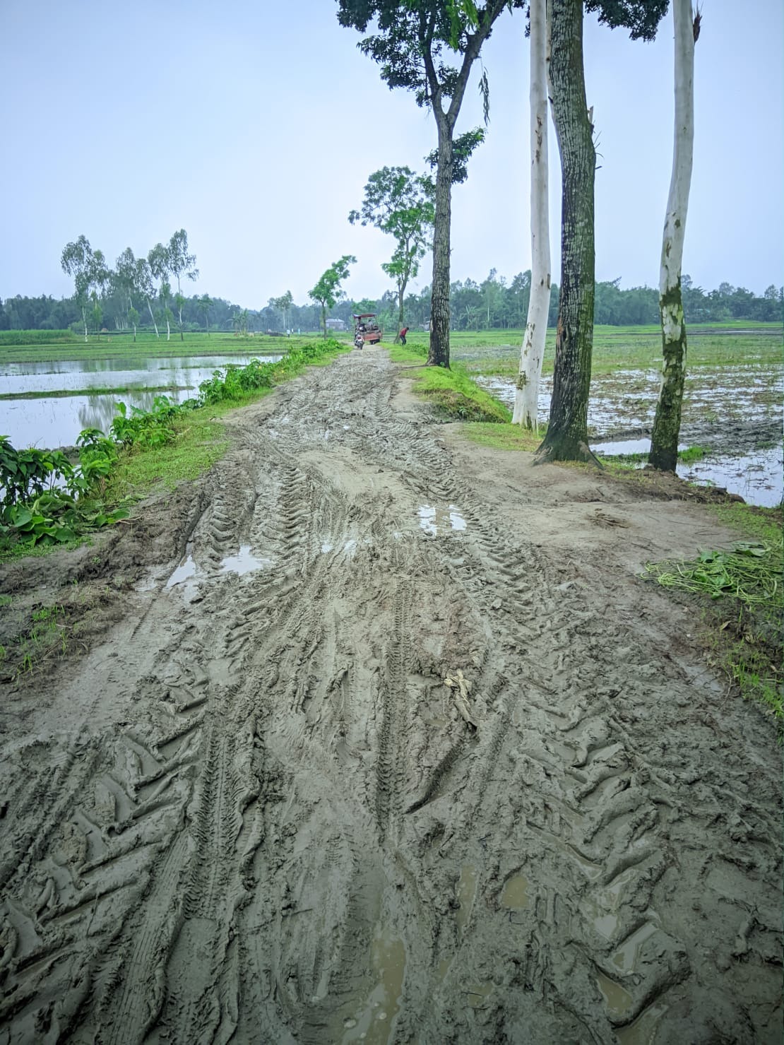 পাটগ্রামে পাকা রাস্তার অভাবে, ৫৪ বছর ধরে কষ্টে গ্রামবাসী.