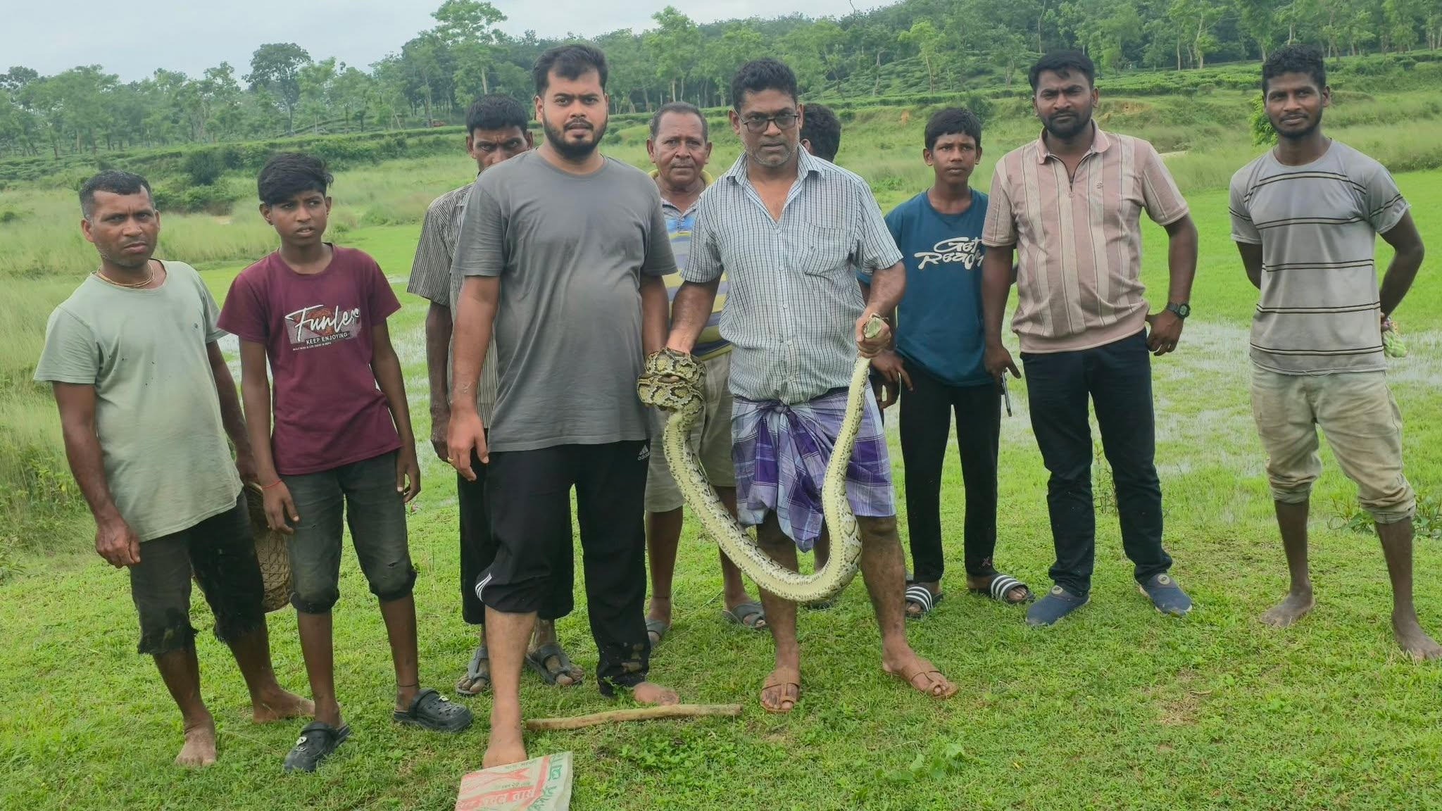 শ্রীমঙ্গলে চা বাগান থেকে বিশাল আকৃতির অজগর সাপ উদ্ধার